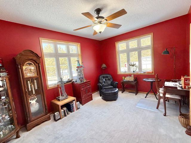 29701 Buffalo Run, Rochert, MN 56578