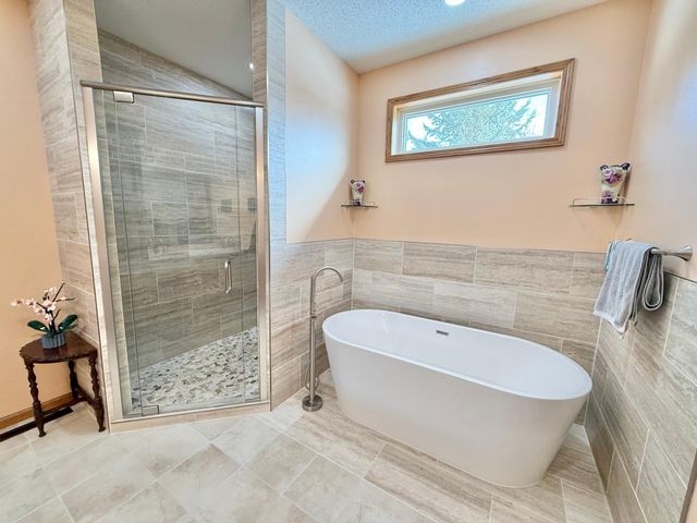 29701 Buffalo Run, Rochert, MN 56578