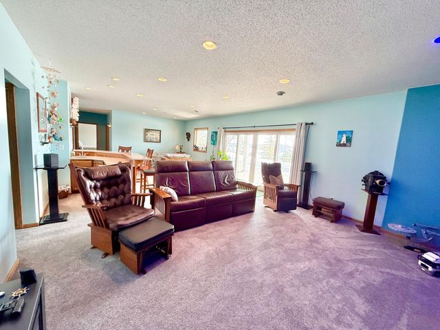 29701 Buffalo Run, Rochert, MN 56578