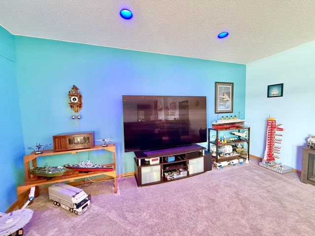 29701 Buffalo Run, Rochert, MN 56578