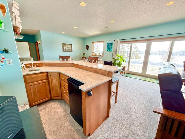 29701 Buffalo Run, Rochert, MN 56578