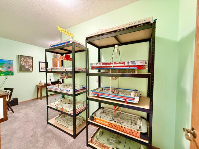 29701 Buffalo Run, Rochert, MN 56578