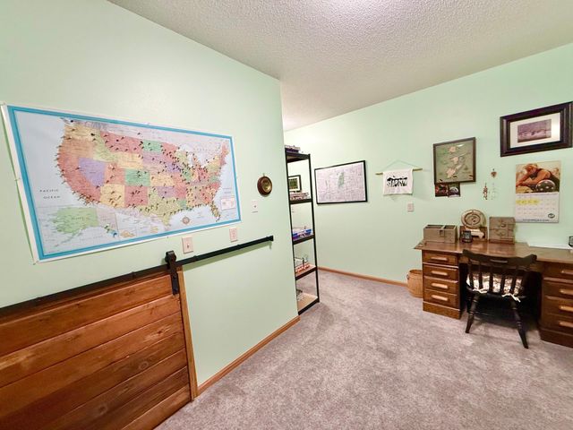 29701 Buffalo Run, Rochert, MN 56578