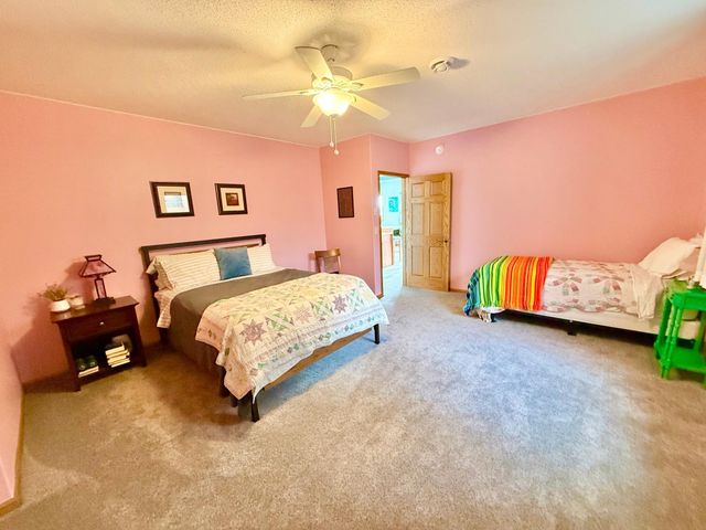 29701 Buffalo Run, Rochert, MN 56578