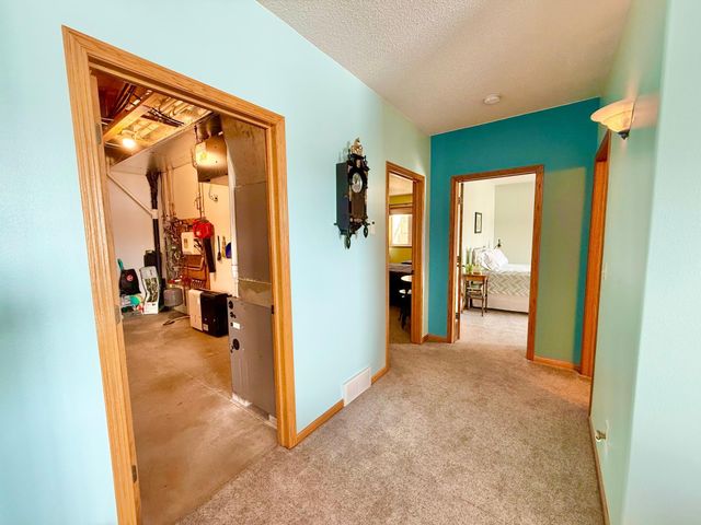 29701 Buffalo Run, Rochert, MN 56578