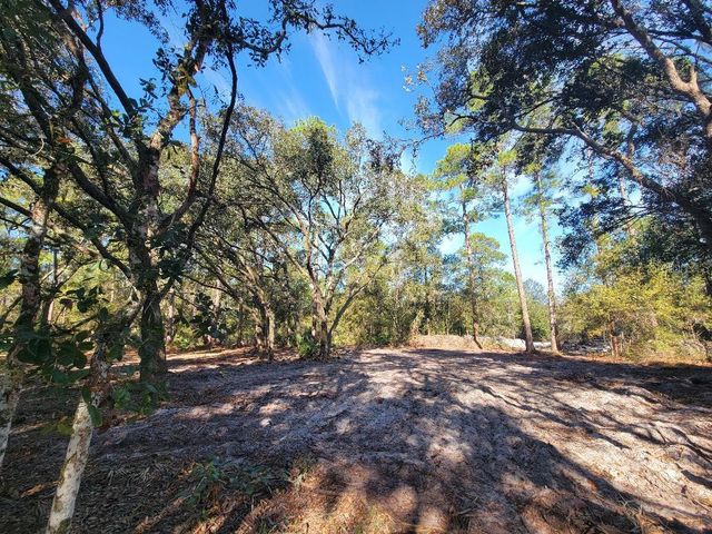 34389 CREEKSTONE STREET, Webster, FL 33597