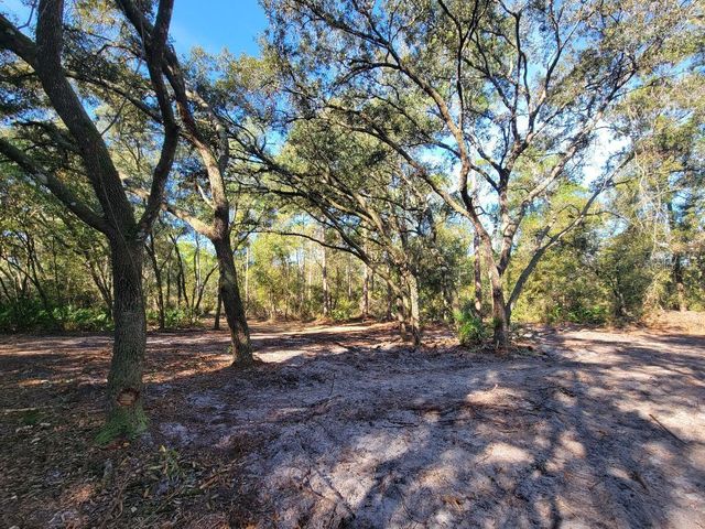 34389 CREEKSTONE STREET, Webster, FL 33597