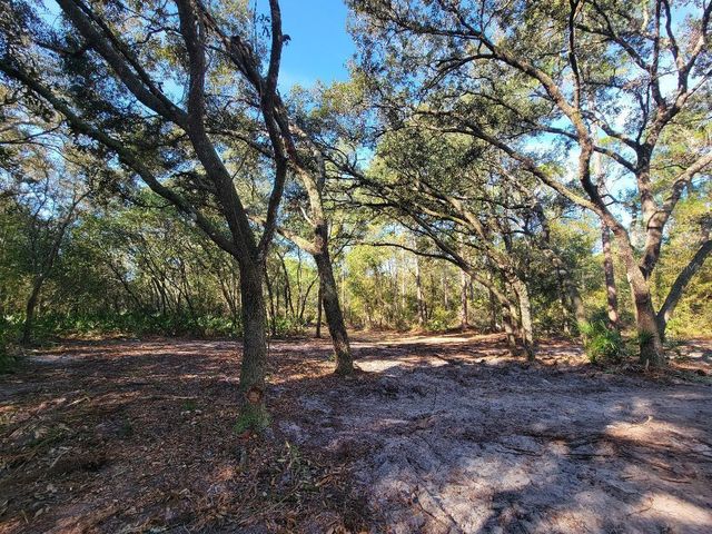 34389 CREEKSTONE STREET, Webster, FL 33597