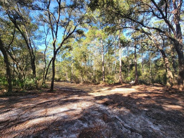 34389 CREEKSTONE STREET, Webster, FL 33597