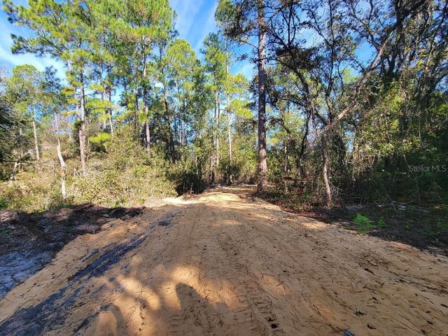 34389 CREEKSTONE STREET, Webster, FL 33597