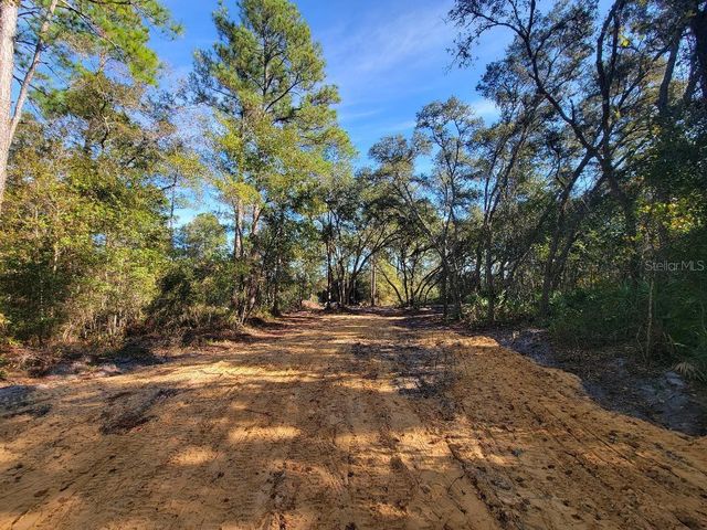 34389 CREEKSTONE STREET, Webster, FL 33597