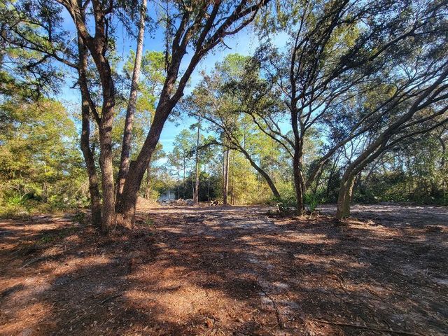 34389 CREEKSTONE STREET, Webster, FL 33597