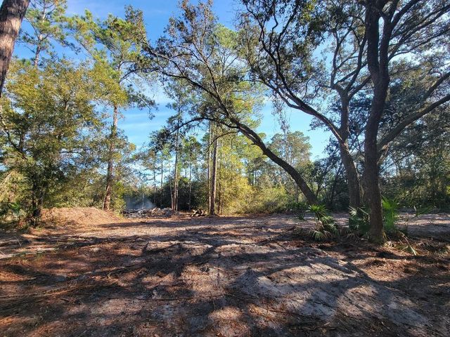 34389 CREEKSTONE STREET, Webster, FL 33597