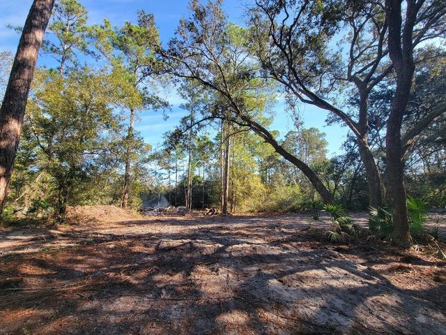 34389 CREEKSTONE STREET, Webster, FL 33597