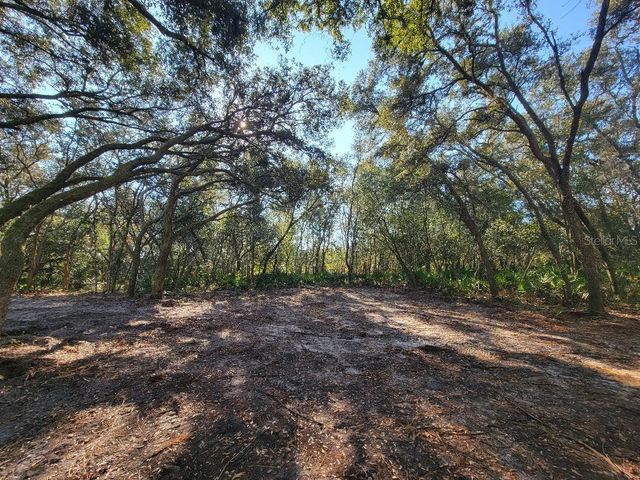 34389 CREEKSTONE STREET, Webster, FL 33597