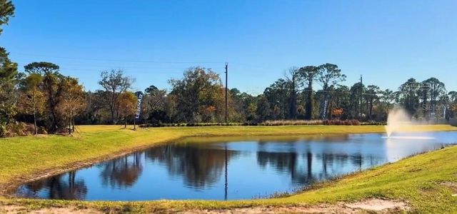 3977 WILLOWBROOK DRIVE, Edgewater, FL 32141