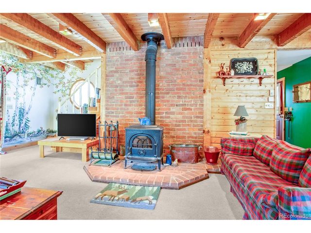 22590 County Road 292a, Nathrop, CO 81236