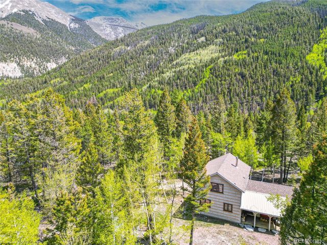 22590 County Road 292a, Nathrop, CO 81236