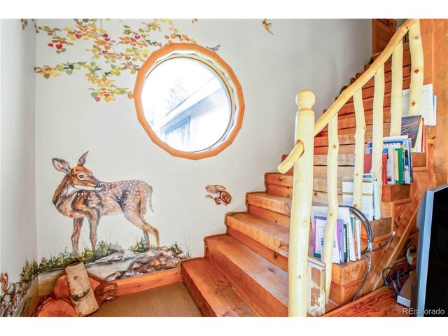 22590 County Road 292a, Nathrop, CO 81236