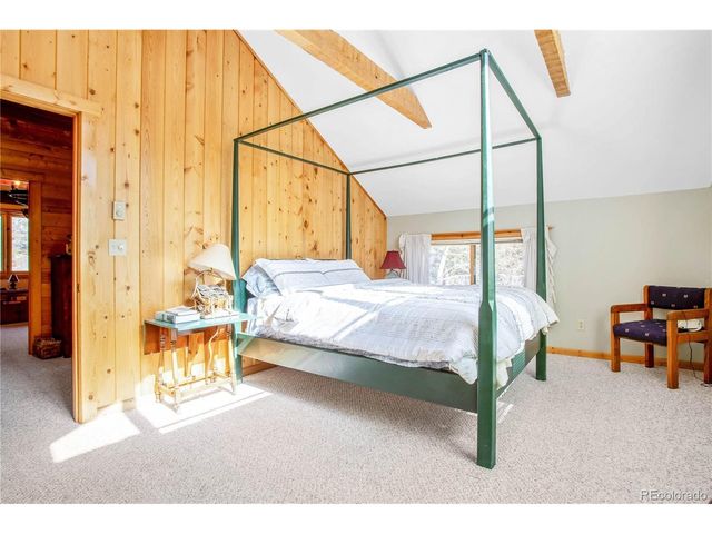 22590 County Road 292a, Nathrop, CO 81236