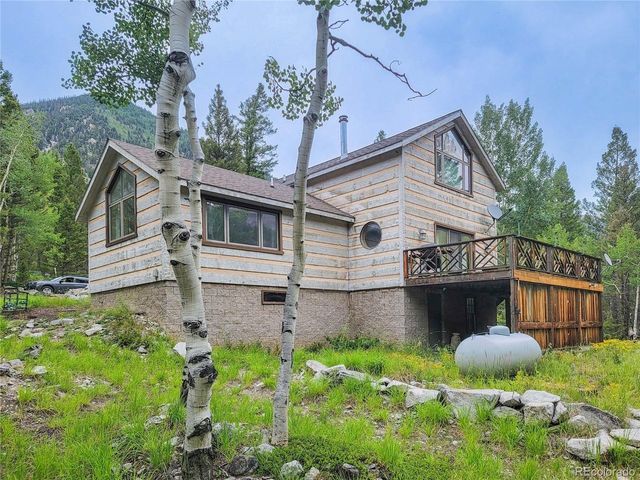 22590 County Road 292a, Nathrop, CO 81236