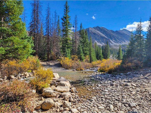 22590 County Road 292a, Nathrop, CO 81236