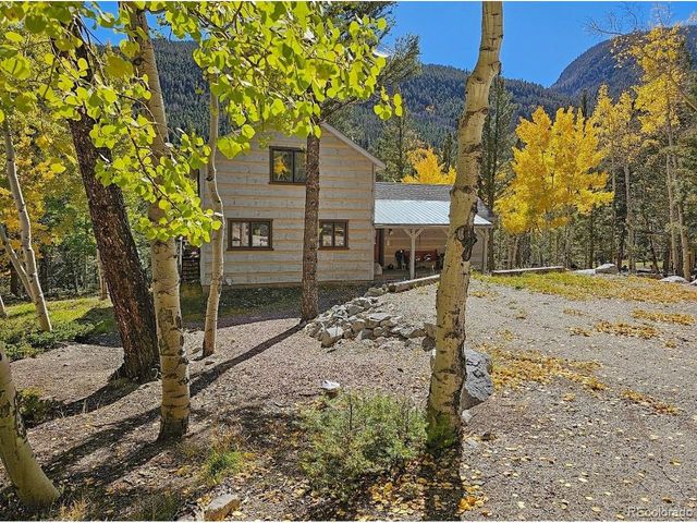 22590 County Road 292a, Nathrop, CO 81236