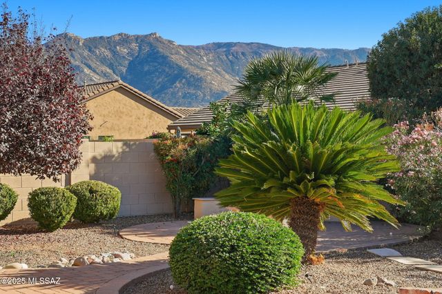 62865 E Silkwood Way, Saddlebrooke, AZ 85739