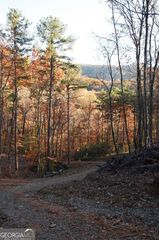 LOTS 29A/B Paradise Lane, Ellijay, GA 30540