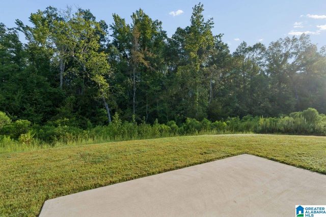 461 SADDLEWOOD COVE, Columbiana, AL 35051