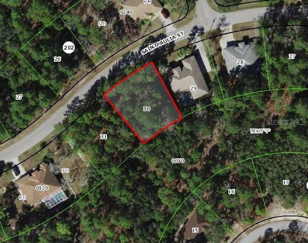 29 SAINTPAULIA STREET, Homosassa, FL 34446