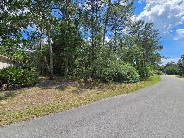 29 SAINTPAULIA STREET, Homosassa, FL 34446