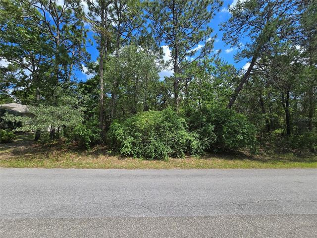 29 SAINTPAULIA STREET, Homosassa, FL 34446