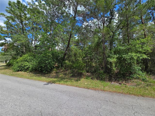 29 SAINTPAULIA STREET, Homosassa, FL 34446