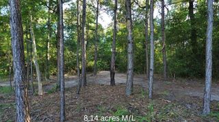 0 Fannie Carrell Road, Lufkin, TX 75901