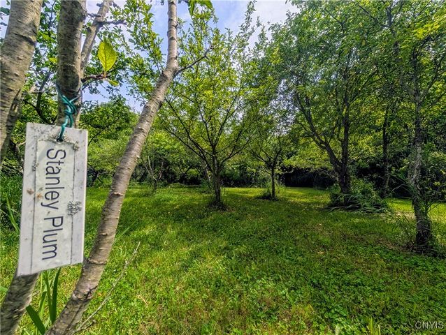 18 Chelsey Circle, Dryden, NY 13068