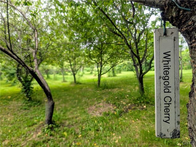 18 Chelsey Circle, Dryden, NY 13068