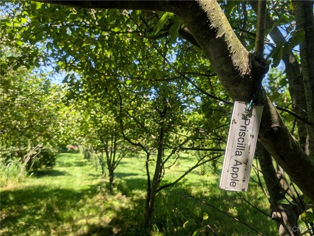 18 Chelsey Circle, Dryden, NY 13068