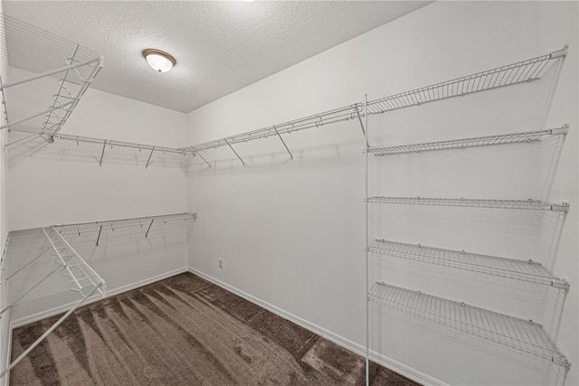 19493 LEONARD ROAD, Lutz, FL 33558