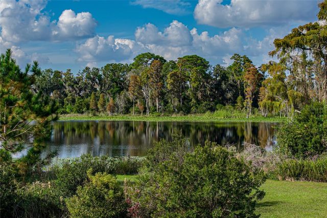 19493 LEONARD ROAD, Lutz, FL 33558