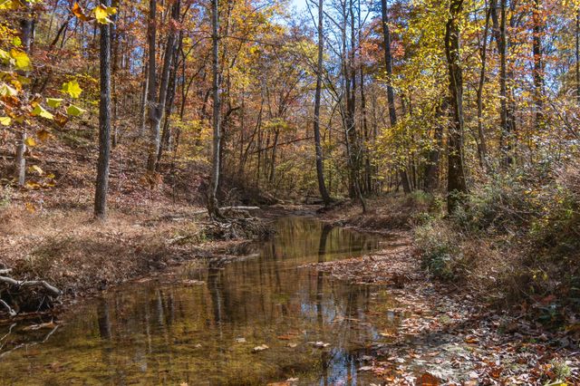 202 Ravenridge Rd, Summertown, TN 38483