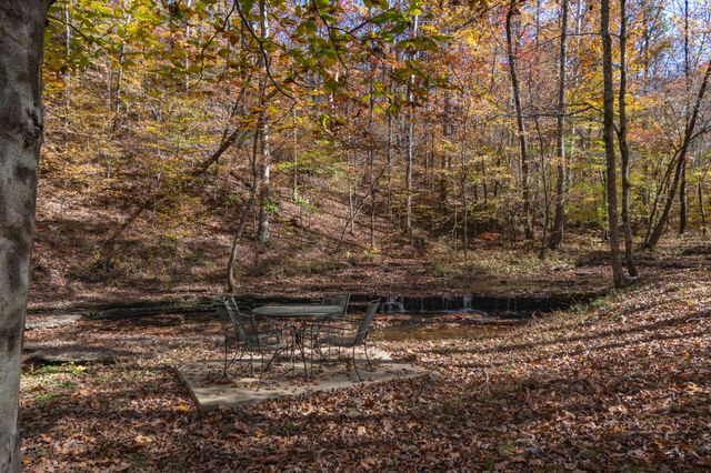 202 Ravenridge Rd, Summertown, TN 38483