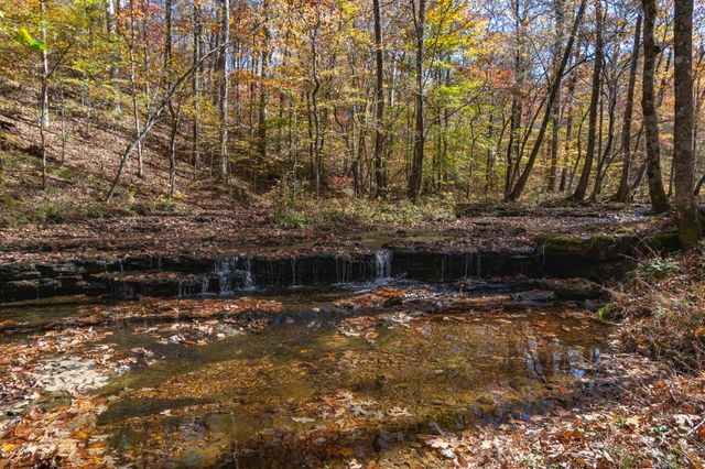 202 Ravenridge Rd, Summertown, TN 38483