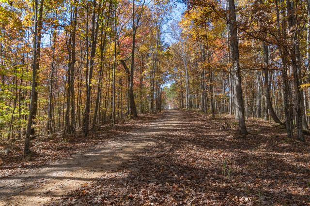 202 Ravenridge Rd, Summertown, TN 38483