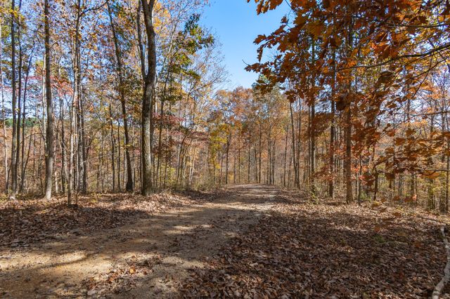 202 Ravenridge Rd, Summertown, TN 38483