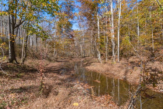 202 Ravenridge Rd, Summertown, TN 38483