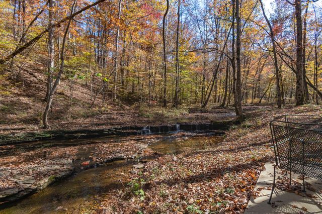 202 Ravenridge Rd, Summertown, TN 38483