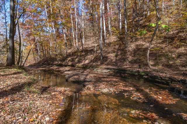 202 Ravenridge Rd, Summertown, TN 38483