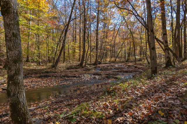 202 Ravenridge Rd, Summertown, TN 38483