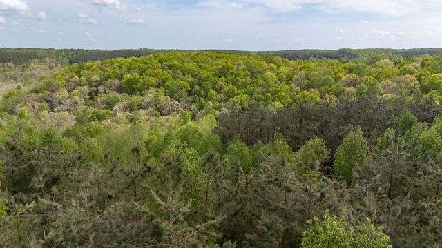202 Ravenridge Rd, Summertown, TN 38483